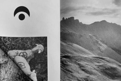 Traverser la terre - Chloé Gadbois-Lamer – Image 8