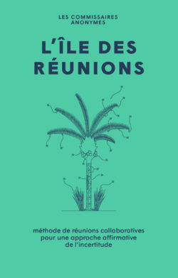 ile-des-reunions-commissaires-anonymes