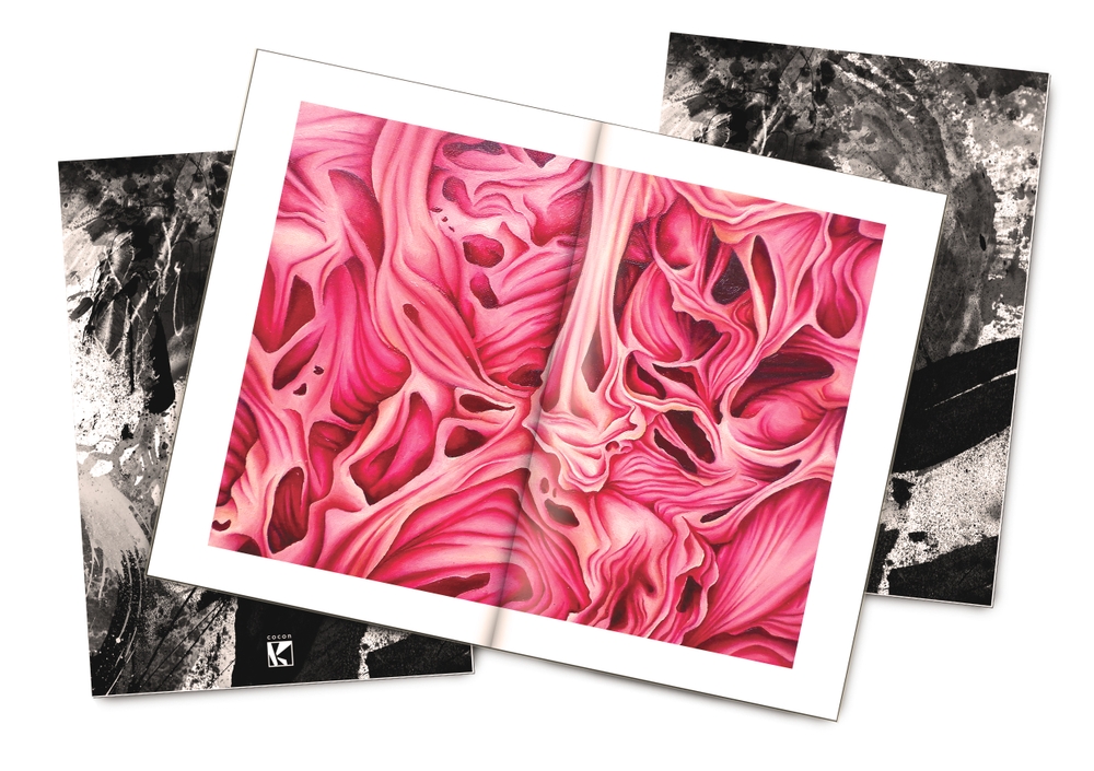 Cocon - Collectif – Image 3