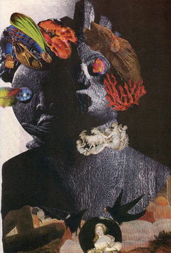 Noel-doby