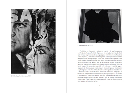 Images par accident – Une histoire des surgissements photographiques - Peter Geimer – Image 2