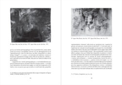 Images par accident – Une histoire des surgissements photographiques - Peter Geimer – Image 9