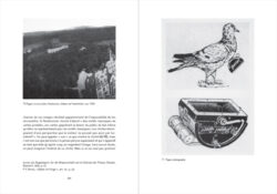 Images par accident – Une histoire des surgissements photographiques - Peter Geimer – Image 11