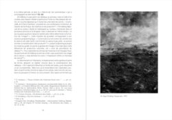 Images par accident – Une histoire des surgissements photographiques - Peter Geimer – Image 6