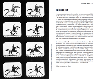 Le cinéma des animaux - Camille Brunel – Image 2