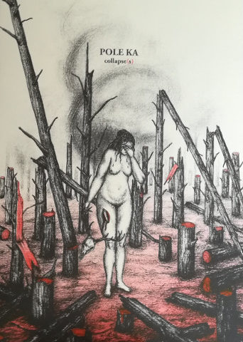 Collapse(s) - Pole Ka