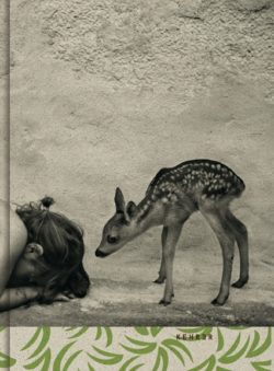 Summer of the fawn - Alain Laboile