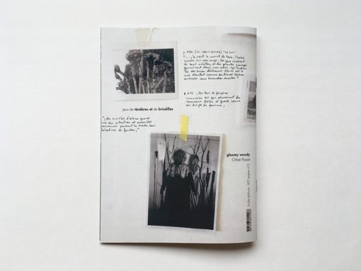 Gloomy Woody - Chloé Poizat – Image 9