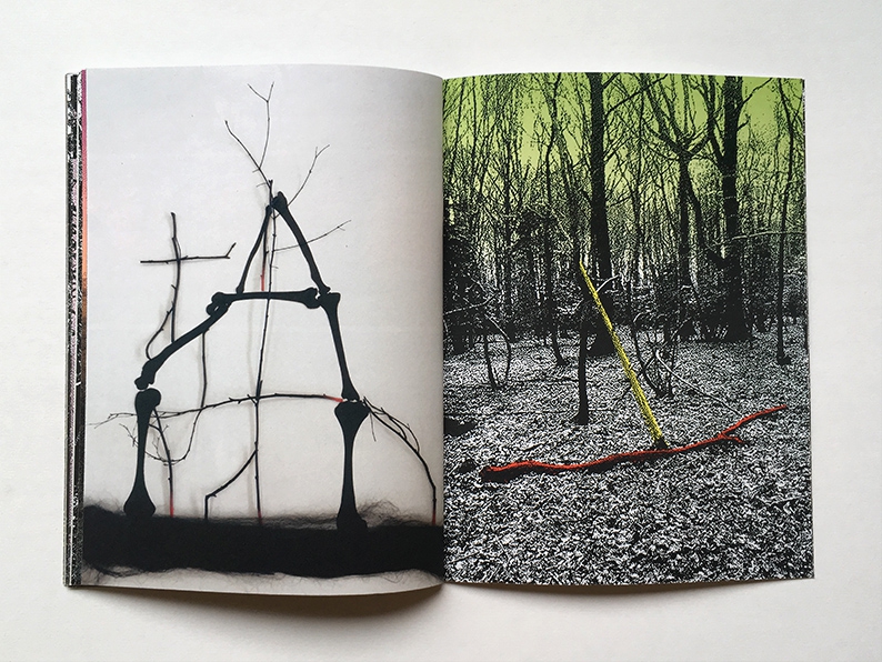 Gloomy Woody - Chloé Poizat – Image 7