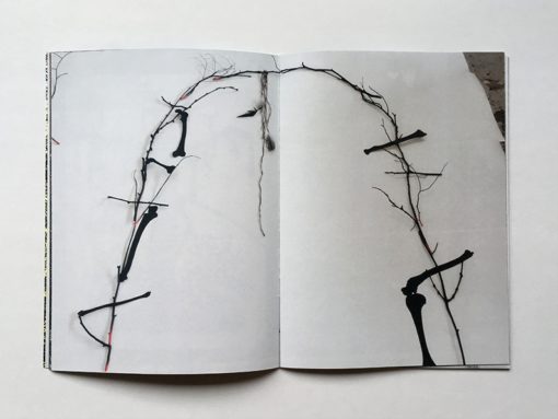 Gloomy Woody - Chloé Poizat – Image 4