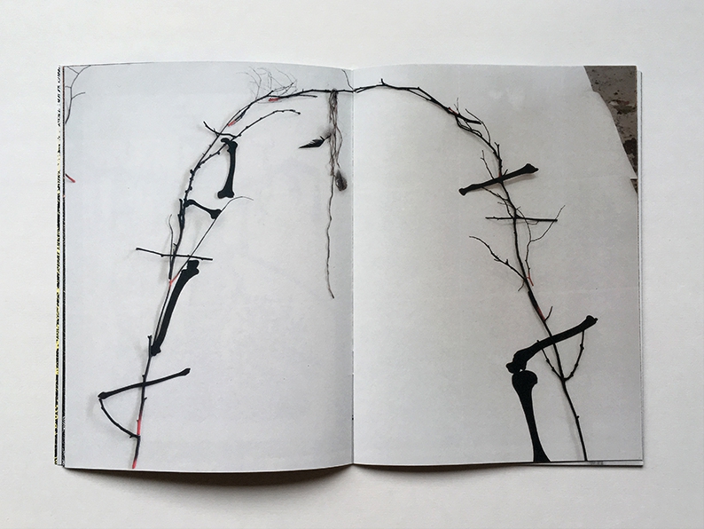 Gloomy Woody - Chloé Poizat – Image 4