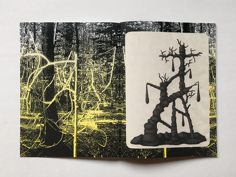 Gloomy Woody - Chloé Poizat – Image 2