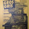 Gros-gris-mensonge