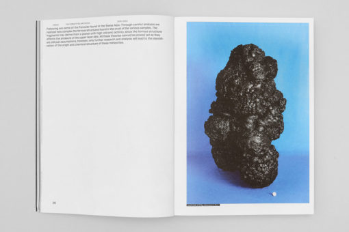Ferox / The forgotten archives - Nicolas Polli – Image 10