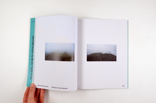 gros-gris-cartepostale