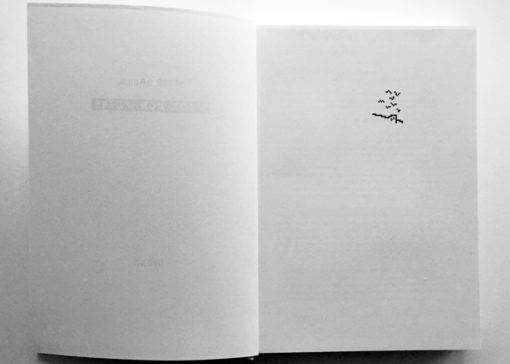 Hice for Weiss - Anton Bruhin – Image 3