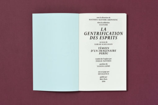 La gentrification des esprits - Sarah Schulman – Image 2