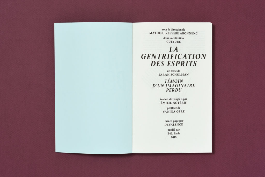La gentrification des esprits - Sarah Schulman – Image 2