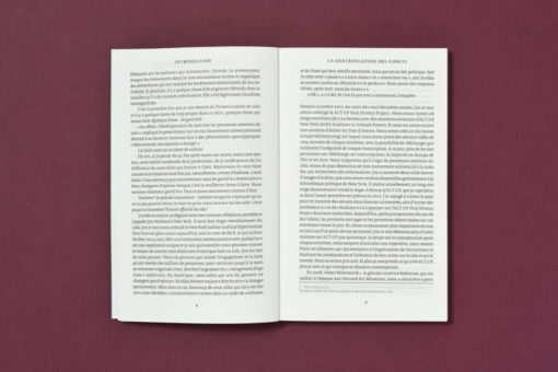 La gentrification des esprits - Sarah Schulman – Image 4