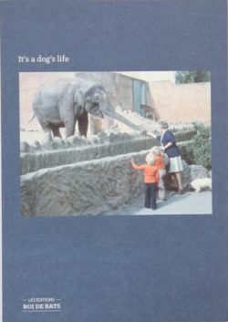 It's a dog's life - Le livre