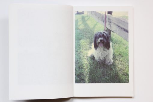 It's a dog's life - Le livre – Image 6