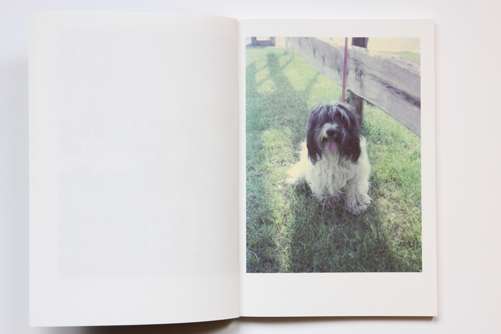 It's a dog's life - Le livre – Image 6