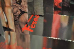 Féros #4 - Collectif – Image 6