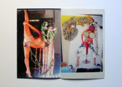 Halli Galli - Erik Steinbrecher – Image 3