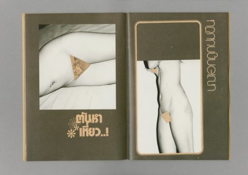Siam's guy - Tiane Doan na Champassak – Image 5
