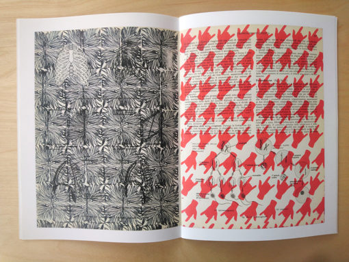 Biologica Grafica extrait- Gianpaolo Pagni – Image 2