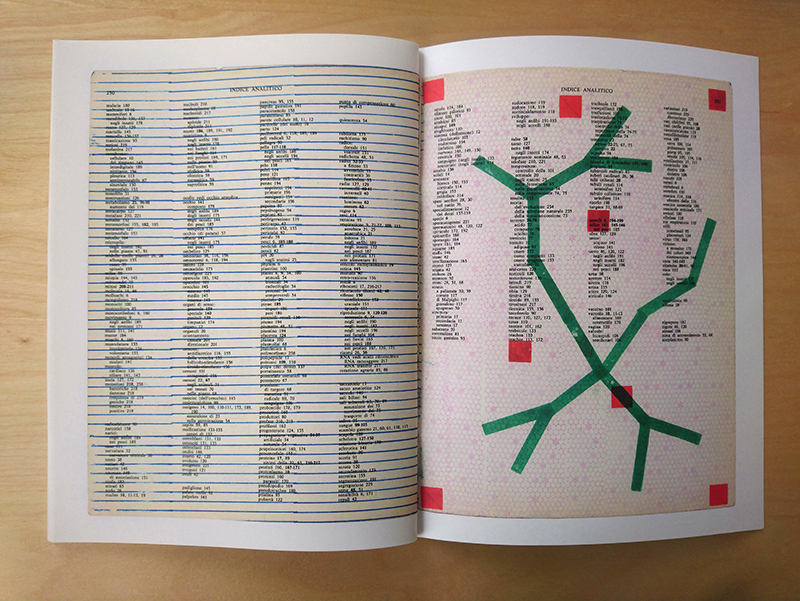 Biologica Grafica extrait- Gianpaolo Pagni – Image 8