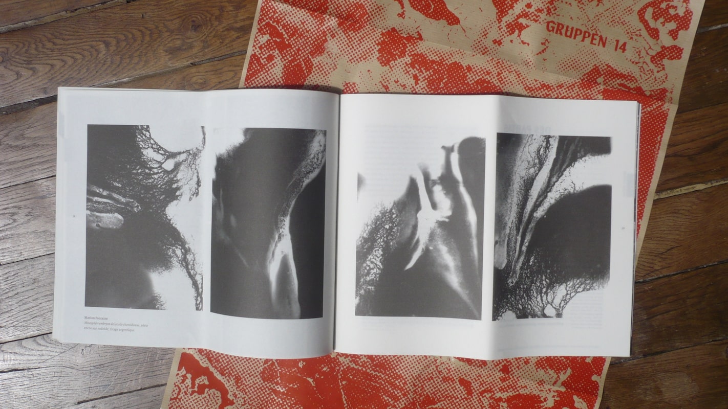 Gruppen n°14 - Collectif – Image 8
