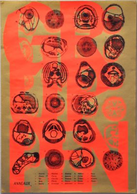 Gruppen n°13 - Collectif – Image 7