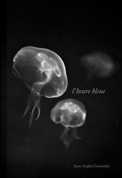 L'heure bleue - Anne-Sophie Costenoble