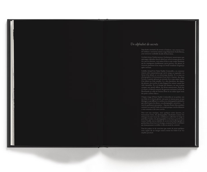 L'heure bleue - Anne-Sophie Costenoble – Image 3