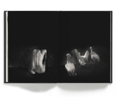 L'heure bleue - Anne-Sophie Costenoble – Image 9