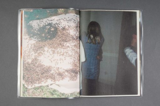 Nos nostalgies - Collectif – Image 4