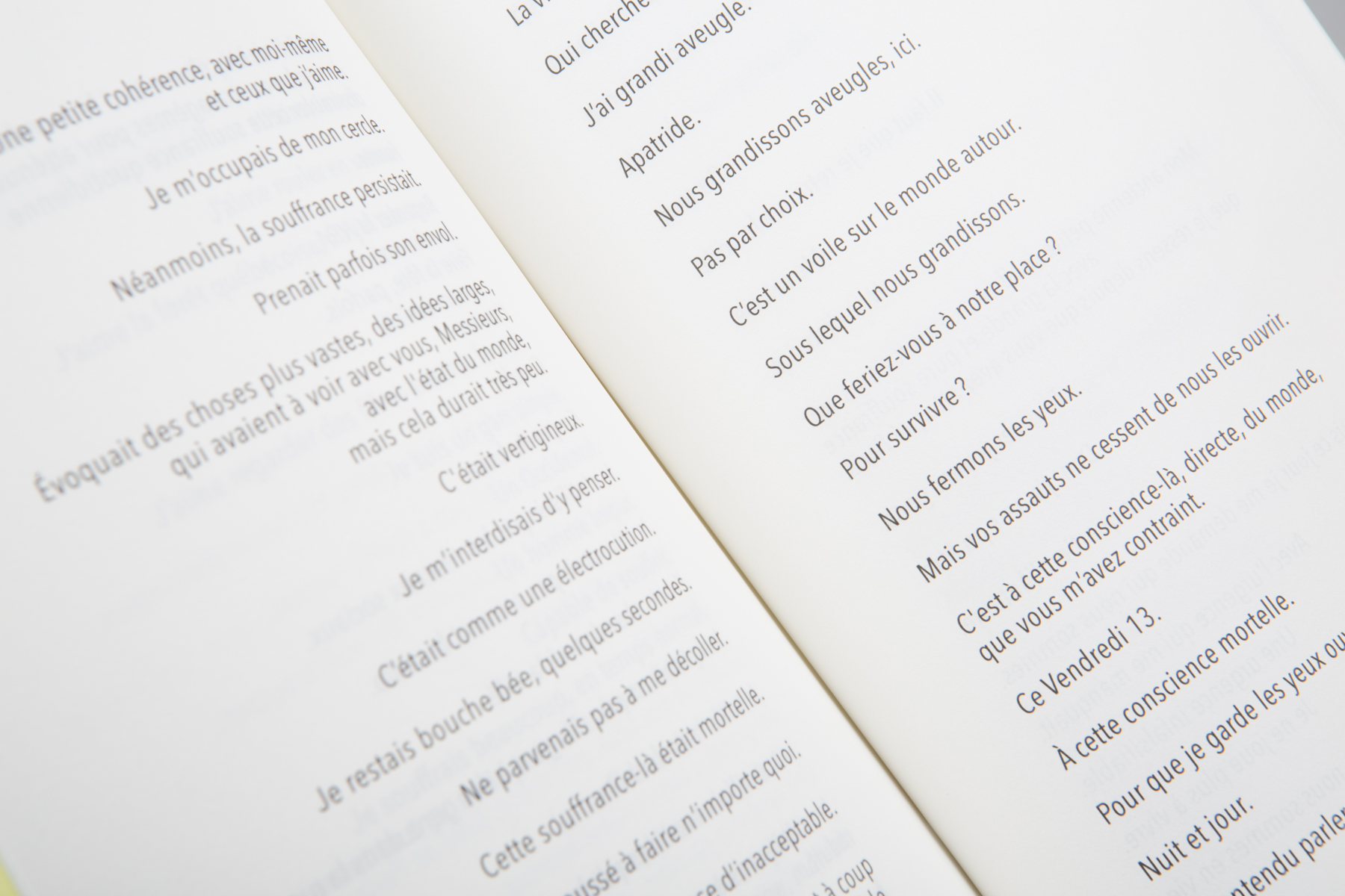 Il paraît que nous sommes en guerre - Pierre Terzian – Image 3