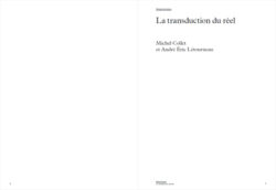 Art performance, manoeuvre, coefficiant de visibilité - Coll. (dir. M. Collet, A-E. Létourneau) – Image 2