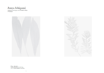 The Drawer n°16 – Image 2