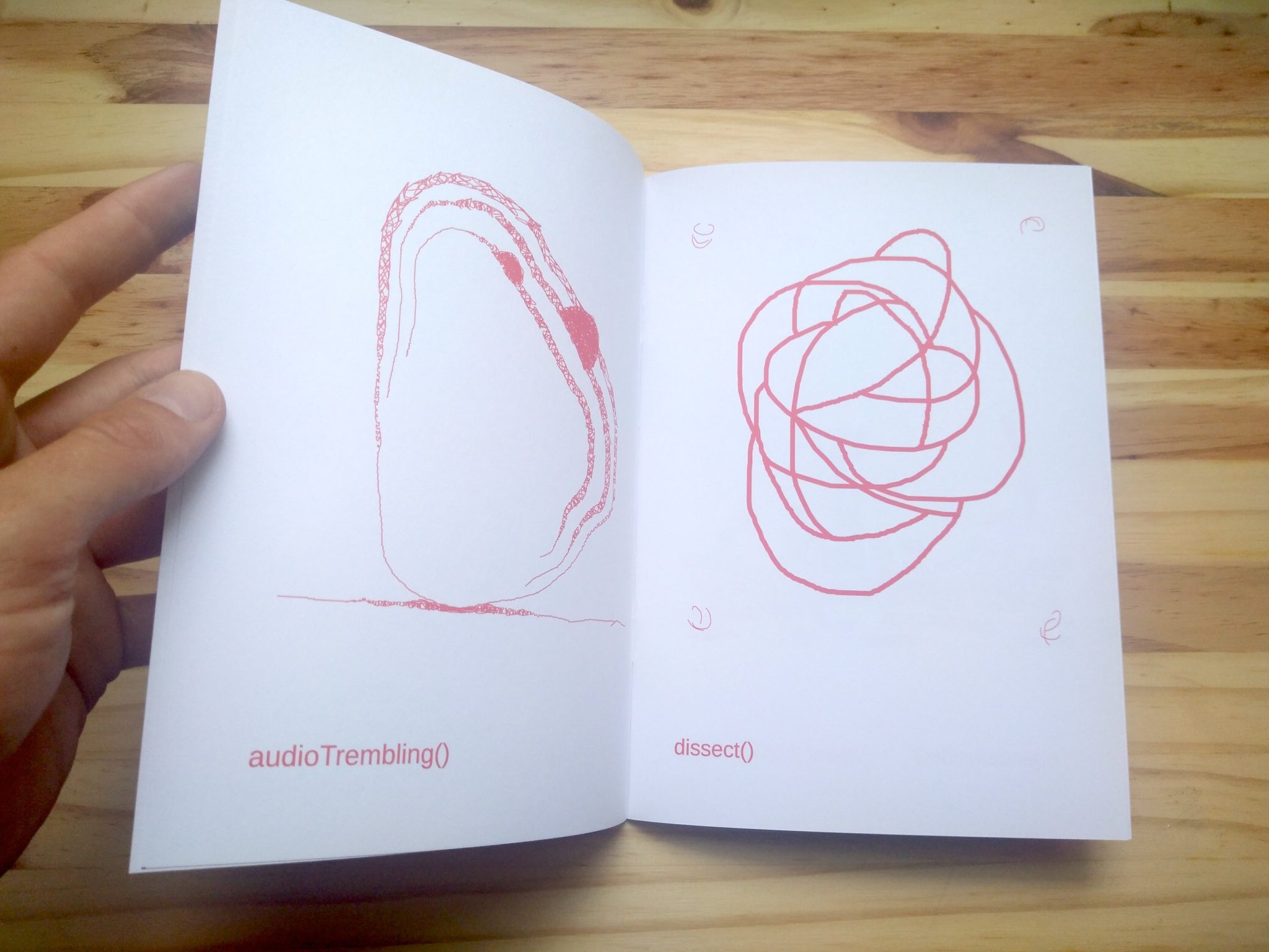 Each Page A Function - Raphaël Bastide – Image 2
