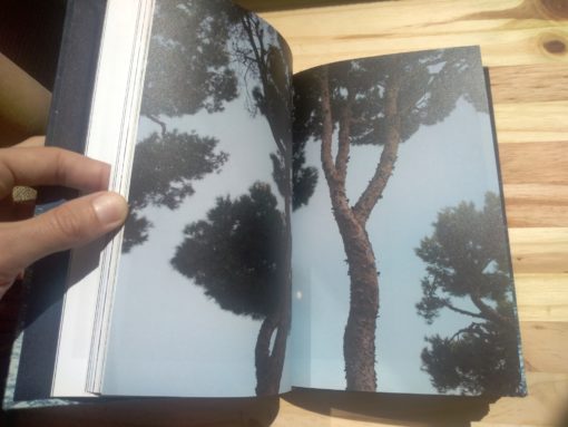 Noces ou les confins sauvages - Hélène David – Image 6