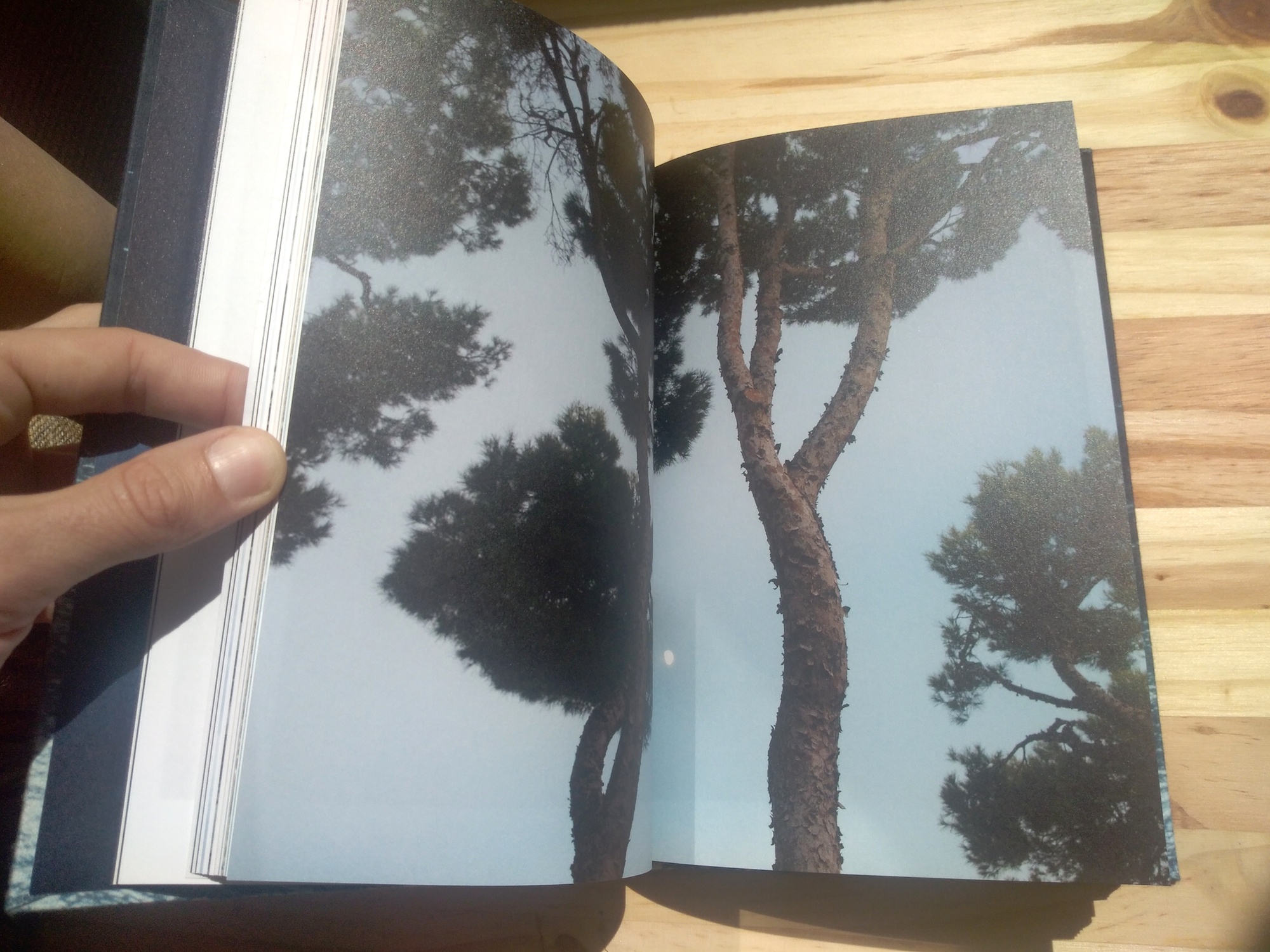 Noces ou les confins sauvages - Hélène David – Image 6