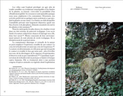 Manuel d'écologie urbaine - Audrey Muratet, François Chiron – Image 3