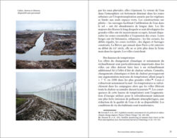 Manuel d'écologie urbaine - Audrey Muratet, François Chiron – Image 7