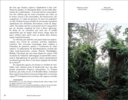 Manuel d'écologie urbaine - Audrey Muratet, François Chiron – Image 10