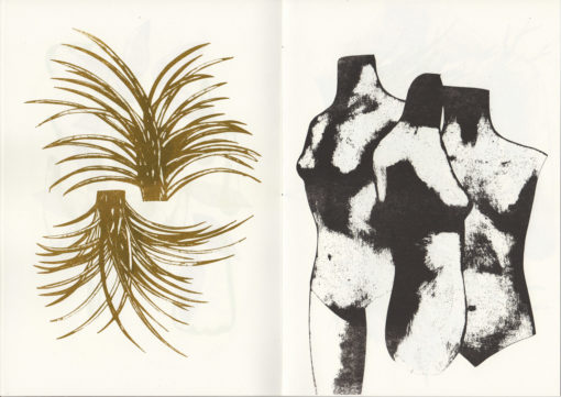 Morceaux choisis - Sophie Lécuyer – Image 3