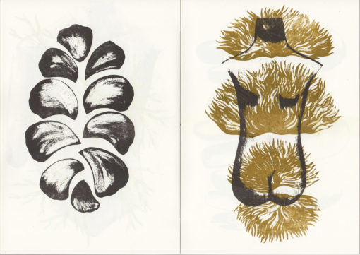 Morceaux choisis - Sophie Lécuyer – Image 2