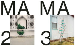 Spectre n°2 - Vegetal Trauma – Image 2