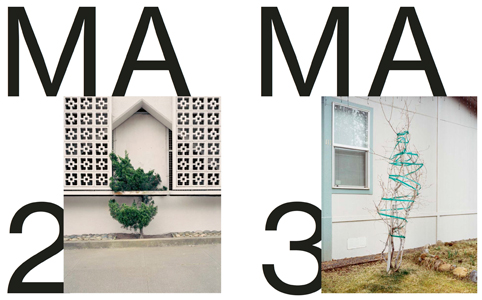 Spectre n°2 - Vegetal Trauma – Image 2